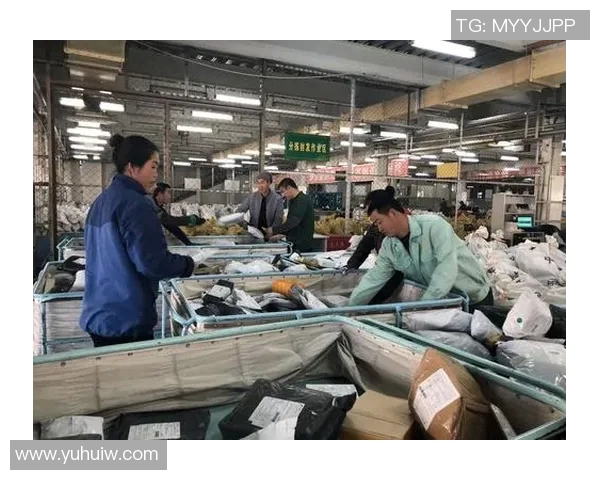 对话赵伟:回顾DOTA2职业生涯中的挑战与成就