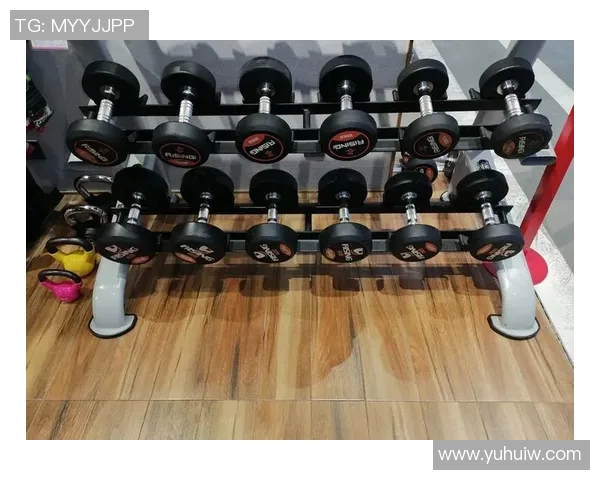 综合健身器材怎么用：从组合到训练流程